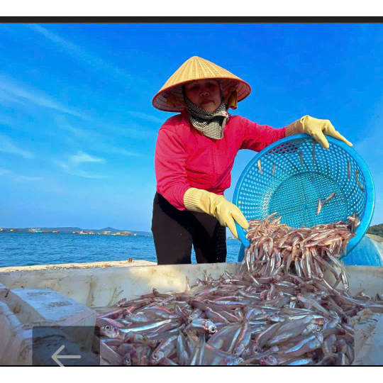 NƯỚC MẮM CHẤM 18PROTEIN  BẾP MẸ HỢI CHAI NHỰA  900ML/CHAI 