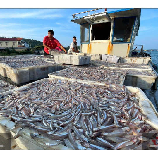 NƯỚC MẮM 10oN - BẾP MẸ HỢI - CHAI THỦY TINH - 650ML/CHAI