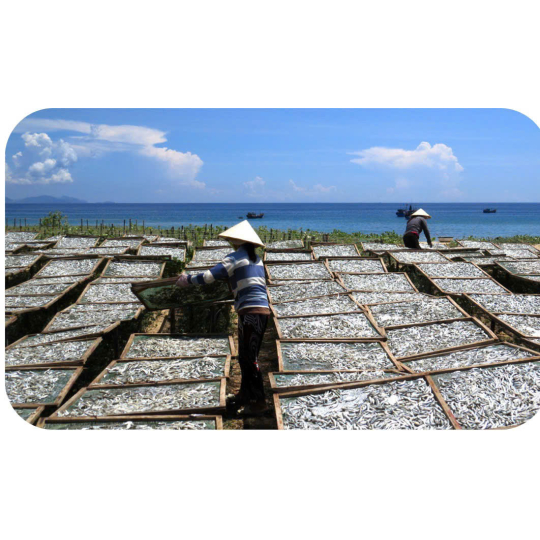 NƯỚC MẮM CHẤM 18PROTEIN  BẾP MẸ HỢI CHAI NHỰA  900ML/CHAI 