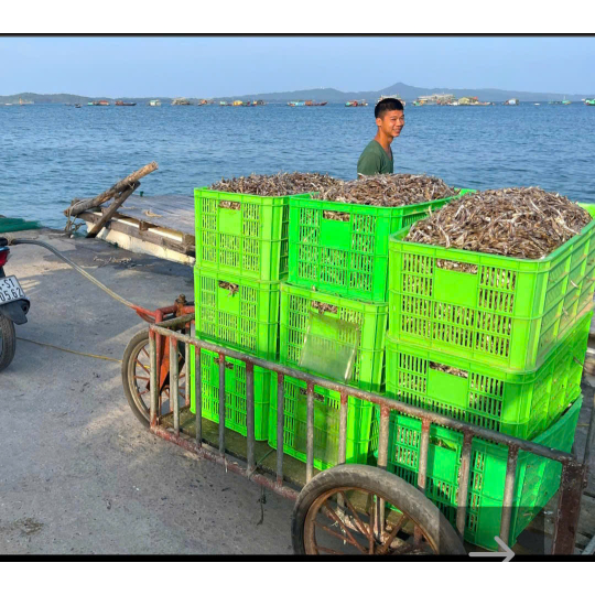 NƯỚC MẮM 10oN - BẾP MẸ HỢI - CHAI THỦY TINH - 650ML/CHAI